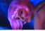 Stephen Goldblatt, ASC, BSC • Natalie Portman - Pink Wig Portrait - 2004