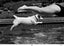 Stephen Goldblatt, ASC, BSC • Woody dives with Deborah Goldblatt - 1997