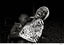 Jacek Laskus, ASC, PSC • Woman with a child, Tanzania - 2011