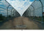 Karl-Walter Lindenlaub, ASC, BVK • Detroit Okay - 2009
