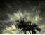 Charles Minsky, ASC • Prism Sky - February 2024