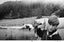Paul Ryan, ASC • Halprin Environmental Workshop - Sea Ranch, CA - 1968
