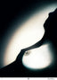 Crescenzo Notarile, ASC, AIC • Chiaroscuro Breast - 2008