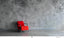 Roberto Schaefer, ASC, AIC • Red Chair - 2022