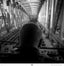 Nicole Whitaker, ASC • Paris Metro - 2018