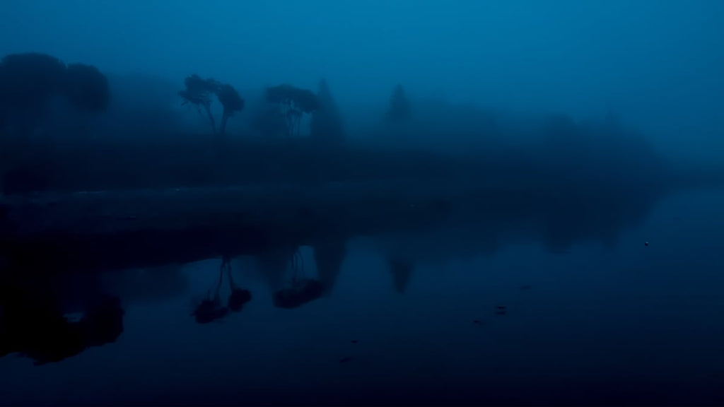 Jacek Laskus, ASC • Blue Hour, Bass Harbor, Maine