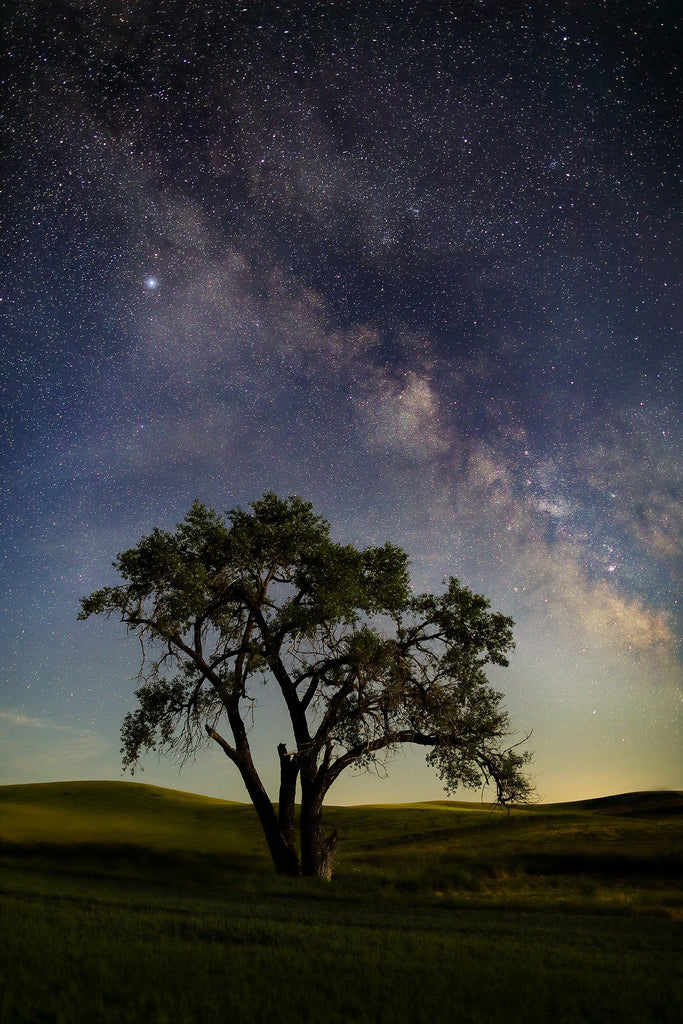 James Neihouse, ASC • Lone Tree in a Big Galaxy - Palouse, WA